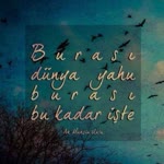 Merve