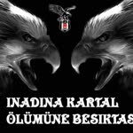 Yalçın