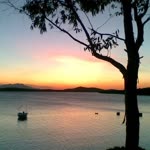 Halime