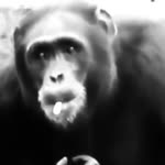 Tolga