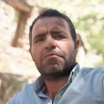 Serdar
