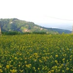 Şükriye