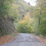 Soner