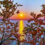 Şeref
