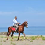 Tayfun