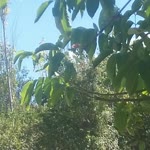 Gezinti