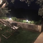 Duygu