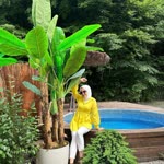 Hediye