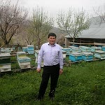 İlhan
