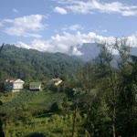 Ediz