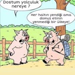 Sedat