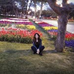 Merve