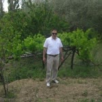 Muammer
