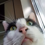 Rümeysa