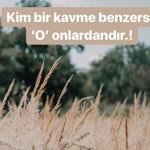 Hasan