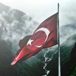 Alper