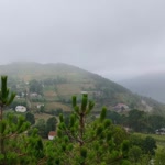 Yiğit