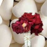 Nihal