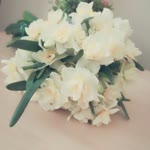 Ebru