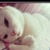 Demir
