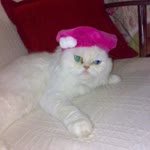 Emel