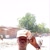 Abdoulaye