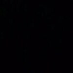 Dicle