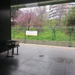 Emine