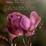 İdris