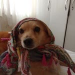 Emine
