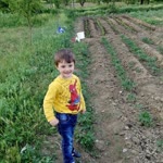 Suat