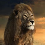 Aslan