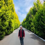 Oktay
