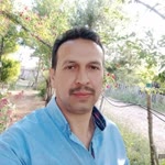 Ülfet