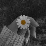 Umut