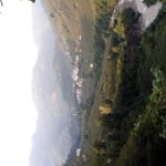 Erol