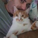 Umut
