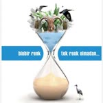 Pınar