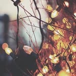 Melike