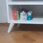 İrem