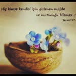 Kamile