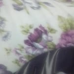 Hazari