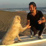 Alper
