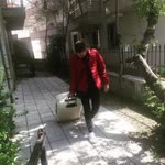 Gökhan