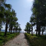 Hicran