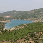 Memet