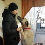 Halit