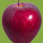 Sinemisnet