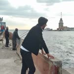Özgür