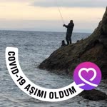 Harun